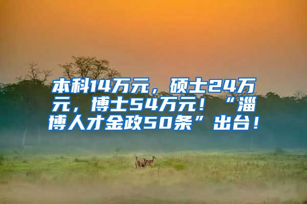 本科14万元，硕士24万元，博士54万元！“淄博人才金政50条”出台！