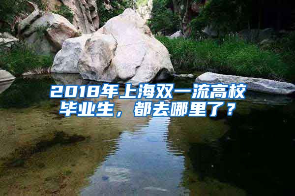 2018年上海双一流高校毕业生，都去哪里了？