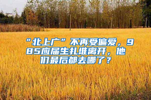 “北上广”不再受偏爱，985应届生扎堆离开，他们最后都去哪了？