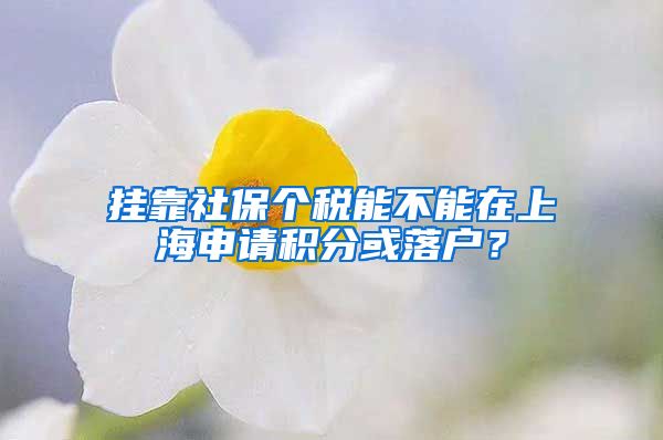 挂靠社保个税能不能在上海申请积分或落户？