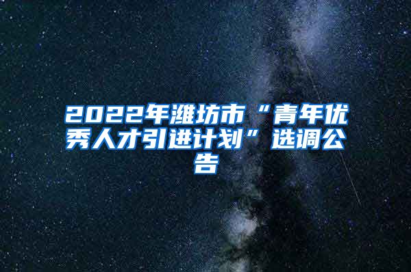 2022年潍坊市“青年优秀人才引进计划”选调公告