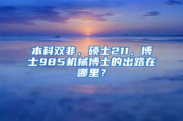 本科双非，硕士211，博士985机械博士的出路在哪里？