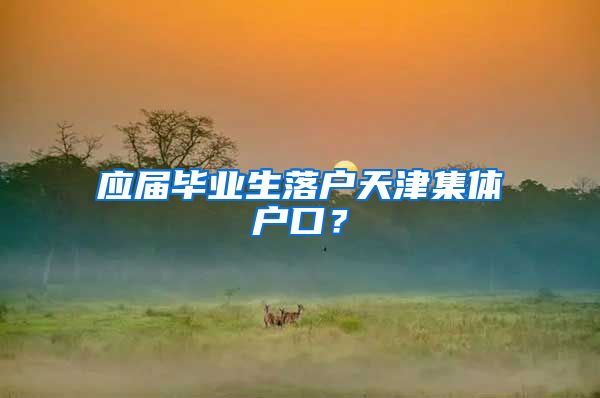 应届毕业生落户天津集体户口？