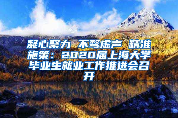 凝心聚力 不骛虚声 精准施策：2020届上海大学毕业生就业工作推进会召开