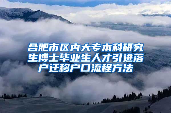 合肥市区内大专本科研究生博士毕业生人才引进落户迁移户口流程方法