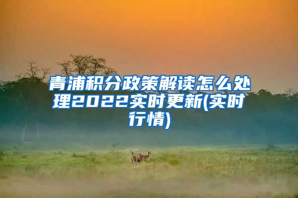 青浦积分政策解读怎么处理2022实时更新(实时行情)