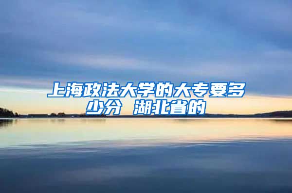 上海政法大学的大专要多少分 湖北省的