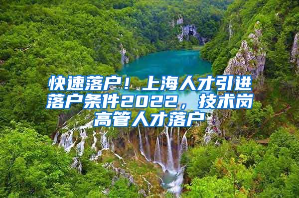 快速落户！上海人才引进落户条件2022，技术岗高管人才落户