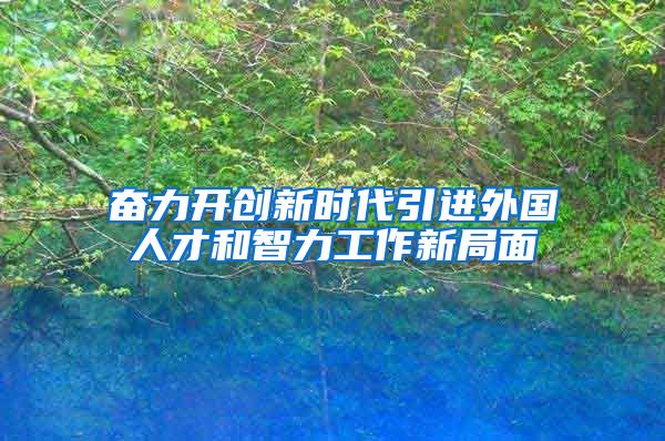 奋力开创新时代引进外国人才和智力工作新局面