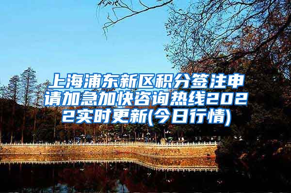 上海浦东新区积分签注申请加急加快咨询热线2022实时更新(今日行情)