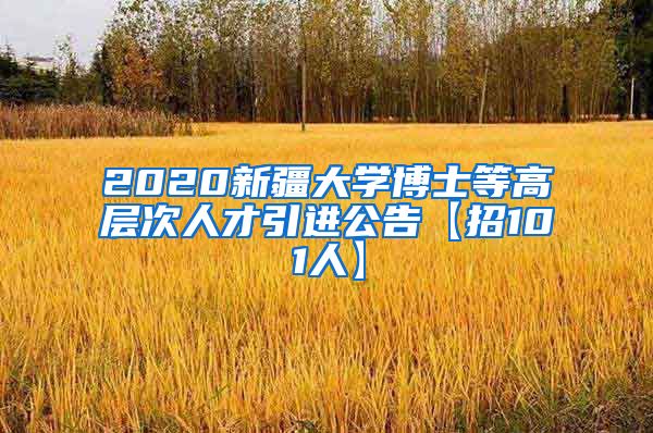 2020新疆大学博士等高层次人才引进公告【招101人】