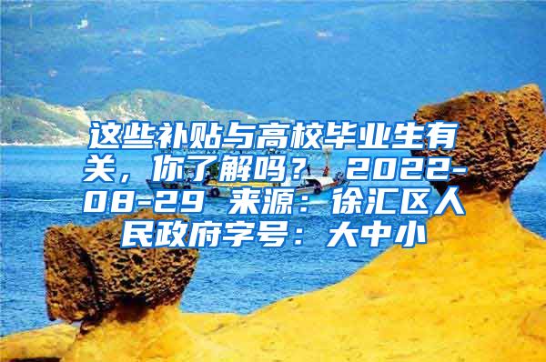 这些补贴与高校毕业生有关，你了解吗？ 2022-08-29 来源：徐汇区人民政府字号：大中小