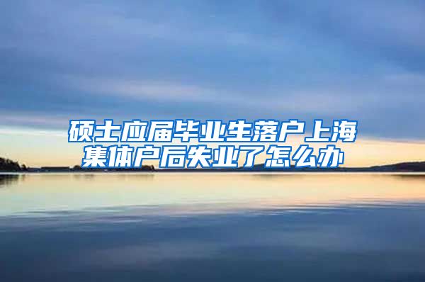 硕士应届毕业生落户上海集体户后失业了怎么办