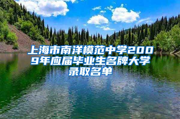 上海市南洋模范中学2009年应届毕业生名牌大学录取名单