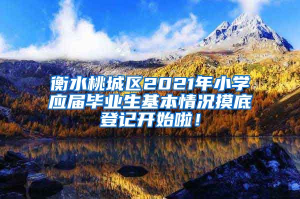 衡水桃城区2021年小学应届毕业生基本情况摸底登记开始啦！