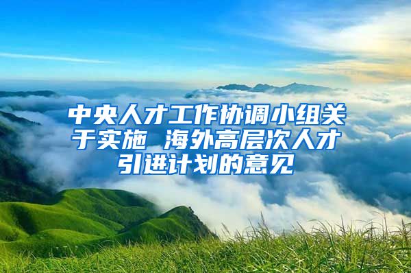 中央人才工作协调小组关于实施 海外高层次人才引进计划的意见