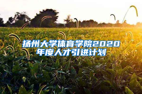 扬州大学体育学院2020年度人才引进计划