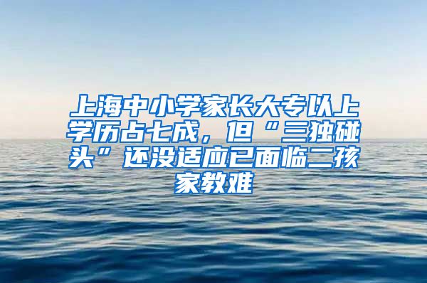 上海中小学家长大专以上学历占七成，但“三独碰头”还没适应已面临二孩家教难