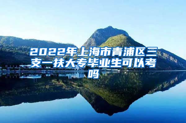 2022年上海市青浦区三支一扶大专毕业生可以考吗