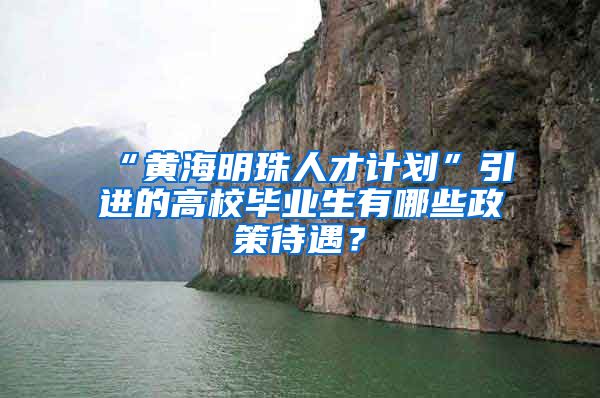 “黄海明珠人才计划”引进的高校毕业生有哪些政策待遇？