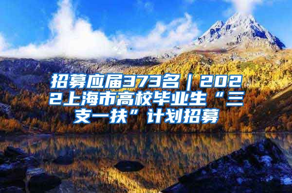 招募应届373名｜2022上海市高校毕业生“三支一扶”计划招募