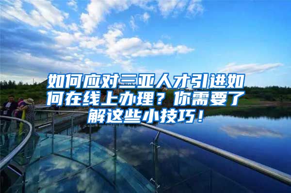 如何应对三亚人才引进如何在线上办理？你需要了解这些小技巧！