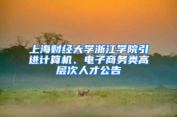 上海财经大学浙江学院引进计算机、电子商务类高层次人才公告