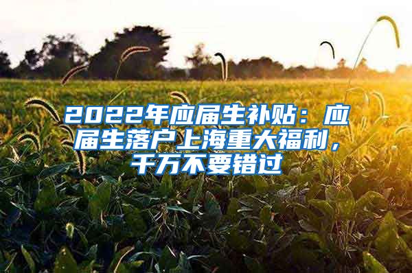 2022年应届生补贴：应届生落户上海重大福利，千万不要错过