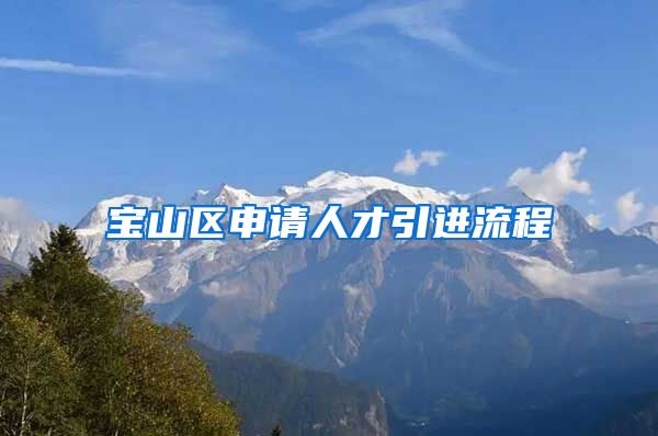 宝山区申请人才引进流程