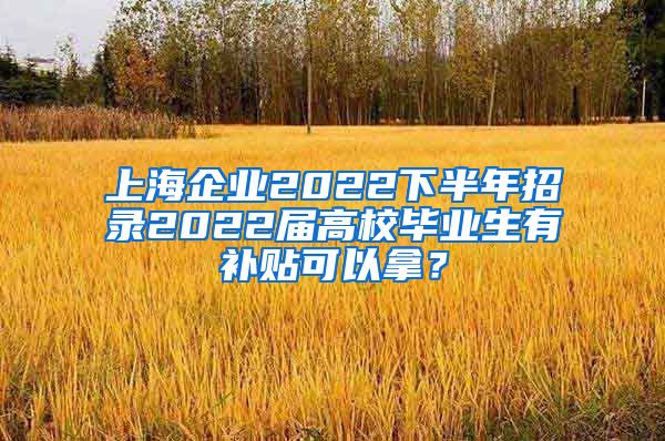 上海企业2022下半年招录2022届高校毕业生有补贴可以拿？