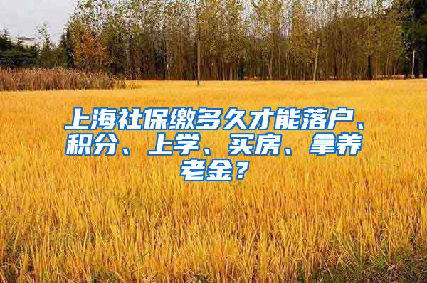 上海社保缴多久才能落户、积分、上学、买房、拿养老金？