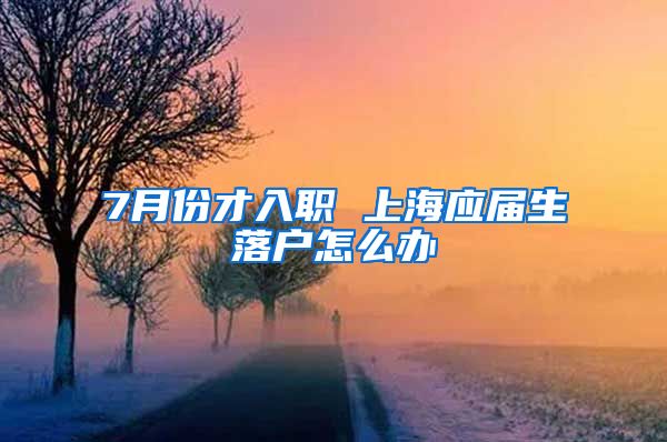 7月份才入职 上海应届生落户怎么办