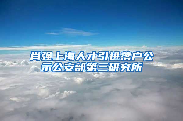 肖强上海人才引进落户公示公安部第三研究所