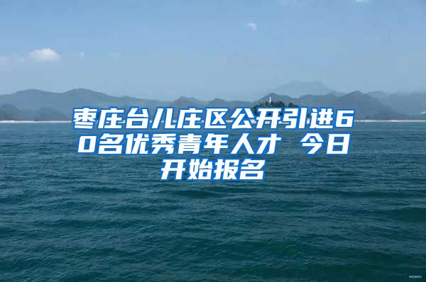 枣庄台儿庄区公开引进60名优秀青年人才 今日开始报名