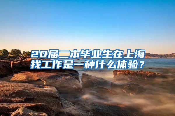 20届二本毕业生在上海找工作是一种什么体验？