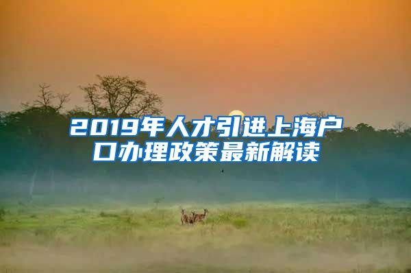 2019年人才引进上海户口办理政策最新解读