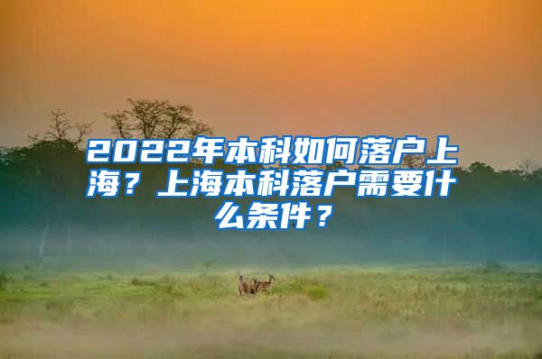 2022年本科如何落户上海？上海本科落户需要什么条件？