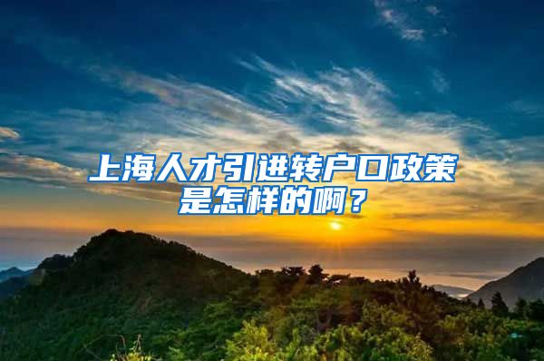 上海人才引进转户口政策是怎样的啊？