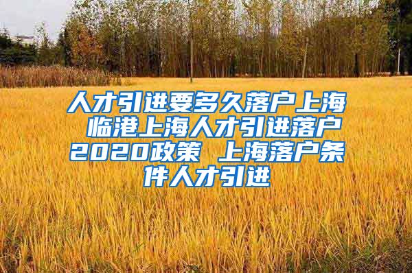 人才引进要多久落户上海 临港上海人才引进落户2020政策 上海落户条件人才引进