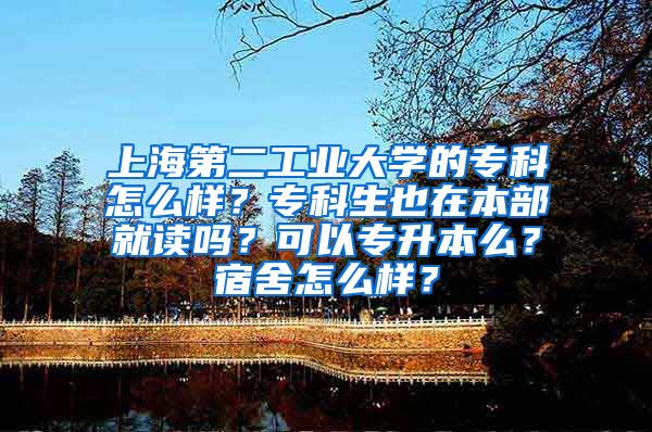 上海第二工业大学的专科怎么样？专科生也在本部就读吗？可以专升本么？宿舍怎么样？