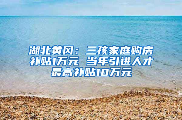 湖北黄冈：三孩家庭购房补贴1万元 当年引进人才最高补贴10万元