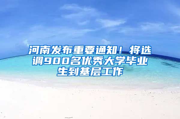 河南发布重要通知！将选调900名优秀大学毕业生到基层工作