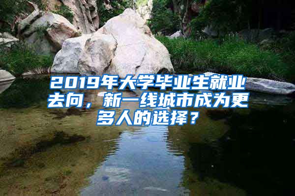 2019年大学毕业生就业去向，新一线城市成为更多人的选择？