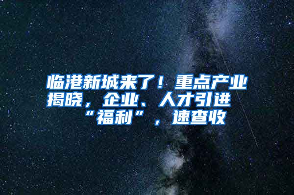 临港新城来了！重点产业揭晓，企业、人才引进“福利”，速查收→