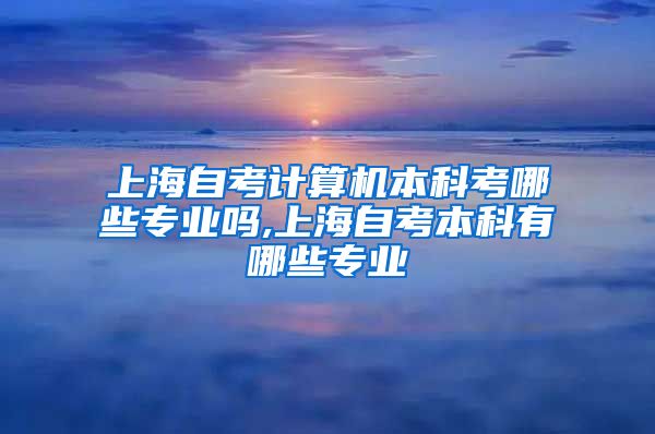 上海自考计算机本科考哪些专业吗,上海自考本科有哪些专业