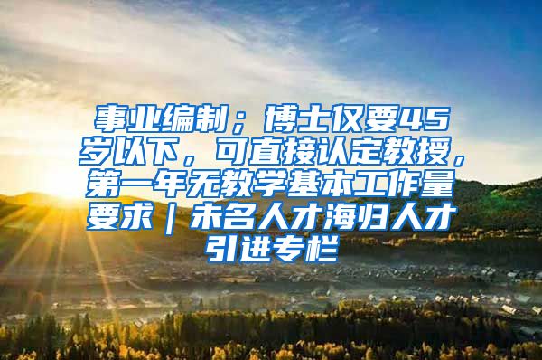 事业编制；博士仅要45岁以下，可直接认定教授，第一年无教学基本工作量要求｜未名人才海归人才引进专栏