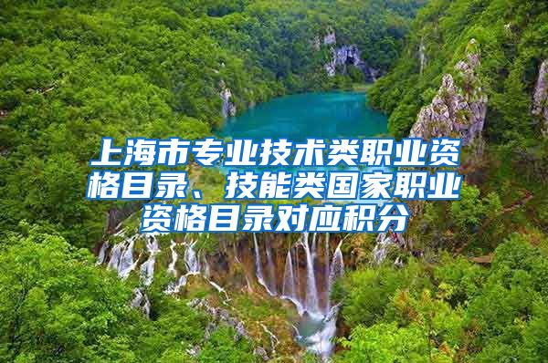 上海市专业技术类职业资格目录、技能类国家职业资格目录对应积分