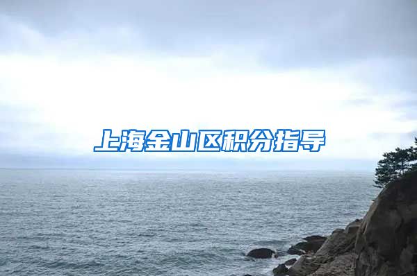 上海金山区积分指导