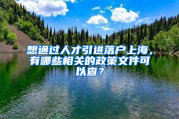 想通过人才引进落户上海，有哪些相关的政策文件可以查？