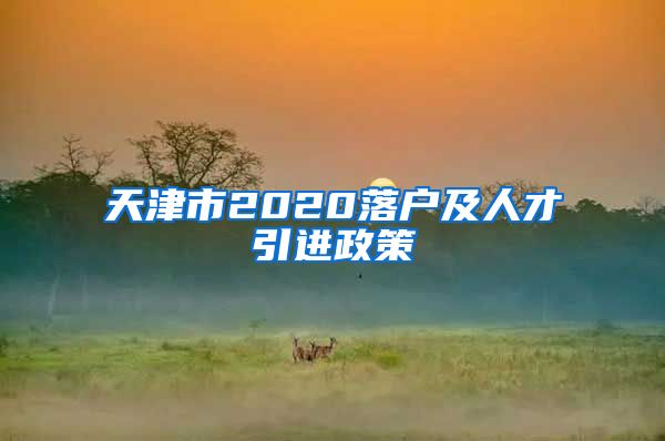 天津市2020落户及人才引进政策